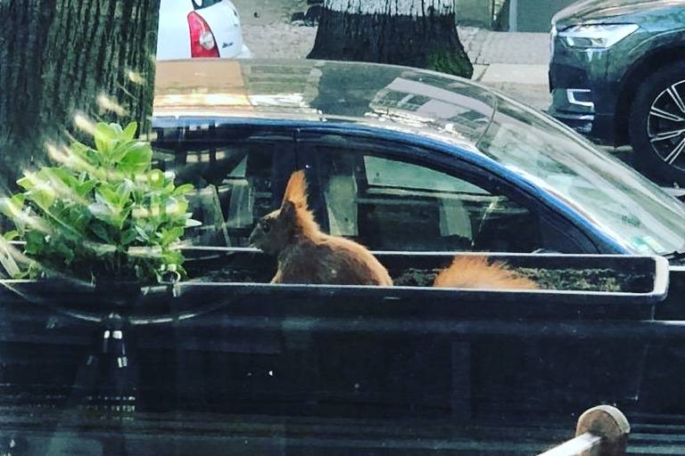 Quarantine Diary: Andrea Bury in Berlin, Germany